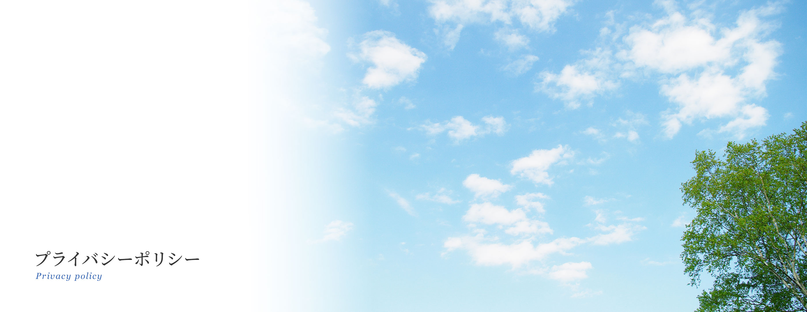 キービジュアル